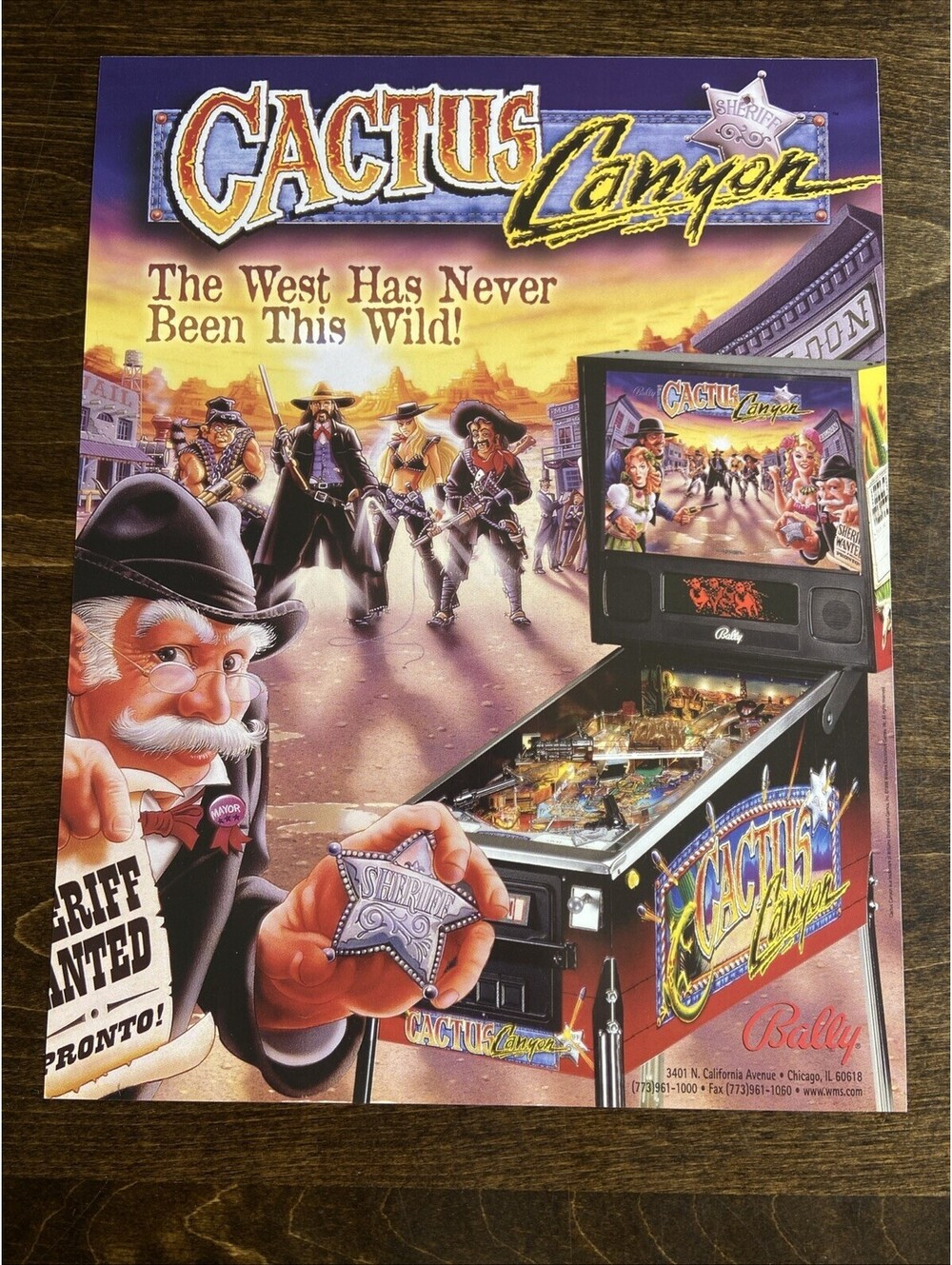 Bally Cactus Canyon Pinball FLYER Original Ad Promo Poster Not PCB
